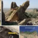 Quand la Tunisie était un carrefour préhistorique : des chasseurs-cueilleurs européens y vivaient il y a 8500 ans