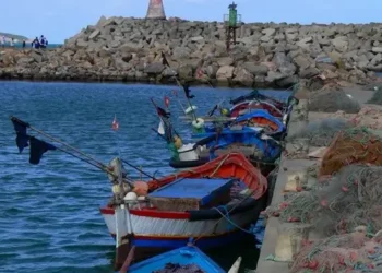 Tunisie : Un plan d’action renforcé pour lutter contre la pêche illégale