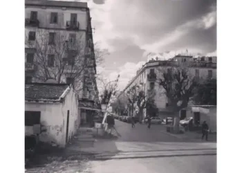 Tunis : Les immeubles de Bab El Fella