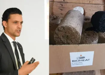 Bioheat : la startup tunisienne transforme les déchets d'olives en énergie propre
