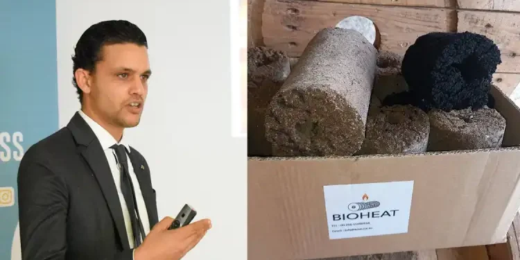 Bioheat : la startup tunisienne transforme les déchets d'olives en énergie propre