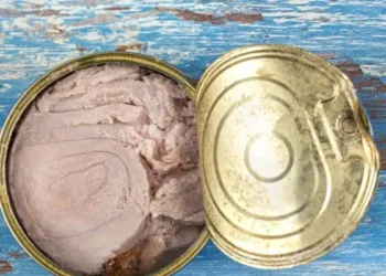 Tunisie : Saisie de 9,8 tonnes de thon avarié destinées à la vente