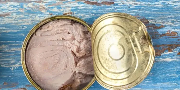Tunisie : Saisie de 9,8 tonnes de thon avarié destinées à la vente