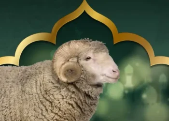 Non, la Tunisie n’a pas appelé à annuler le sacrifice de l'Aïd