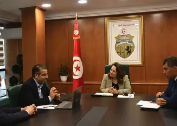 La Tunisie accélère dans la production de voitures électriques