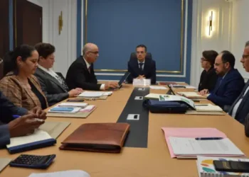 Tunisie : Vers l’utilisation des feuilles de figuier de Barbarie dans les fourrages