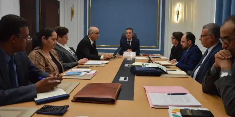 Tunisie : Vers l’utilisation des feuilles de figuier de Barbarie dans les fourrages