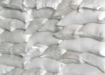 Tunisie - Gafsa : 3,5 tonnes de farine infestée par des rongeurs, saisies dans un entrepôt non conforme