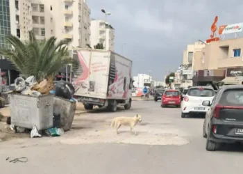 Aouina, Hay Salama… : Un enfer de circulation sous des tours de béton !