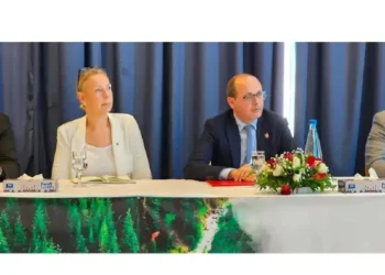 Tunisie : 73 millions de dinars pour reverdir ses forêts et offrir 4 500 emplois