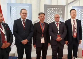 Zaghouan : une vitrine pour la stratégie d'investissement chinois en Tunisie