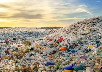 Tunisie : Le système ECO-LEF menacé, 60 MD de pertes liées à la pollution plastique