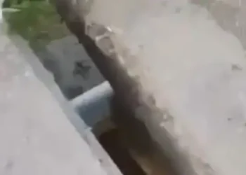 Tunis : Des fissures sur un pont à cause du vol de ses composants essentiels
