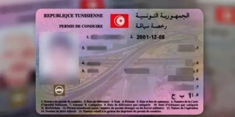 Reconnaissance des permis : la Tunisie accélère ses négociations bilatérales