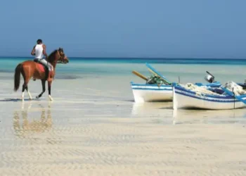 Tourisme : La Tunisie part à la conquête de ces nouveaux marchés