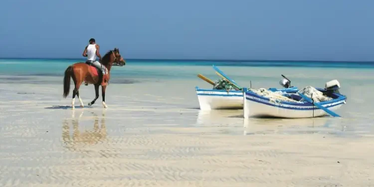 Tourisme : La Tunisie part à la conquête de ces nouveaux marchés