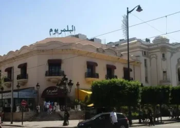 Tunis : Le Palmarium menacé de désertification commerciale