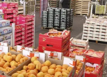 Tunisie : La balance alimentaire excédentaire, mais en net recul
