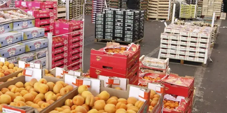 Tunisie : La balance alimentaire excédentaire, mais en net recul