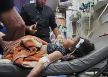 Israël : La fronde des réservistes, une mascarade démocratique au service du pouvoir