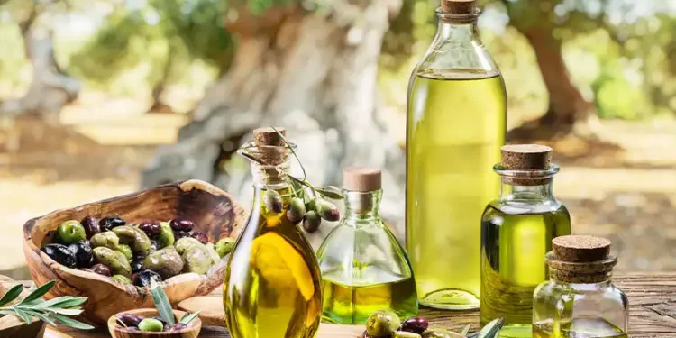 Huile d'olive : La Tunisie décroche la 2e place au prestigieux concours Mario Solinas 2025