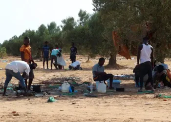 "Deux ans sous occupation" : La colère d’un agriculteur de Sfax après le départ des migrants