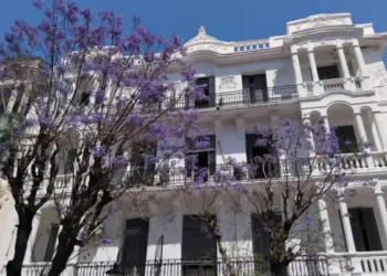 Tunisie - Snapshot : Sur les avenues aux jacarandas en fleurs