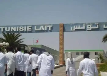 Tunisie : L’État reprend le contrôle de la centrale laitière de Sidi Bou Ali pour relancer la production