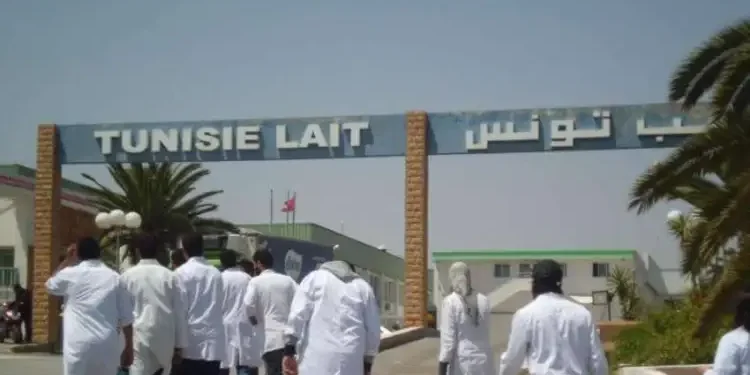 Tunisie : L’État reprend le contrôle de la centrale laitière de Sidi Bou Ali pour relancer la production