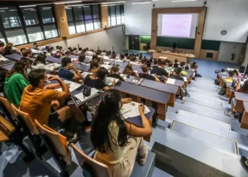 Des bourses néerlandaises ouvertes aux étudiants tunisiens en licence et master