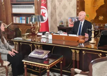 Kaïs Saïed appelle à simplifier le retour et les démarches des Tunisiens à l’étranger 