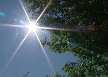 Tunisie - Météo : Baisse des températures et orages attendus