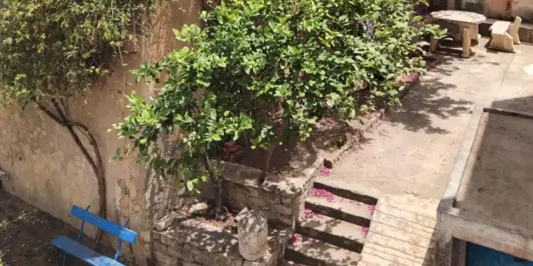 Tunisie - Snapshot : Un jardin serein dans le faubourg sud de Tunis