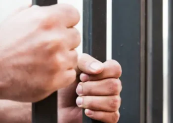Tunisie : Un TikTokeur placé en détention pour des faits à caractère terroriste