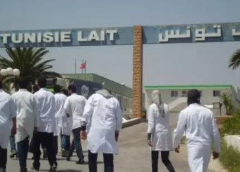 Tunisie : Vers le redémarrage de l’usine de lait de Sidi Bou Ali