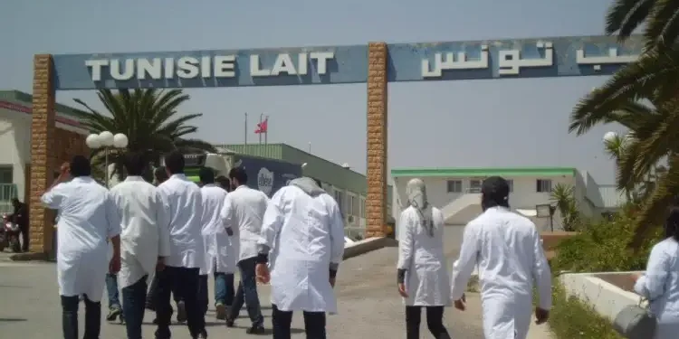 Tunisie : Vers le redémarrage de l’usine de lait de Sidi Bou Ali