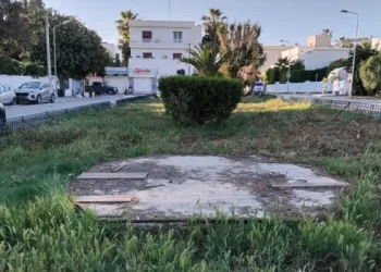 Tunisie - Snapshot : Les herbes folles de la place Mendès-France