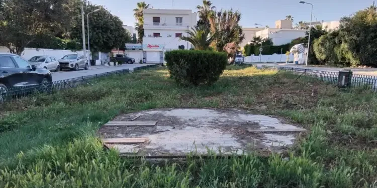 Tunisie - Snapshot : Les herbes folles de la place Mendès-France
