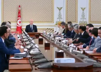 Tunisie : "La joie entrera dans tous les secteurs", promet Kais Saïed