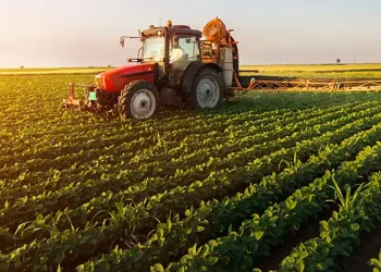 Tunisie : Les entreprises communautaires vont-elles bénéficier des terres agricoles domaniales ?