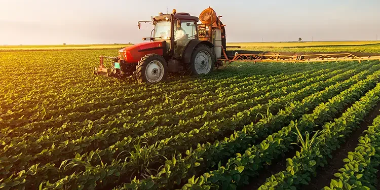 Tunisie : Les entreprises communautaires vont-elles bénéficier des terres agricoles domaniales ?