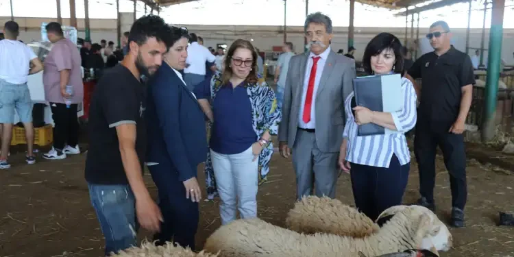 Tunisie : Des députés alertent sur la gestion des viandes avant l’Aïd