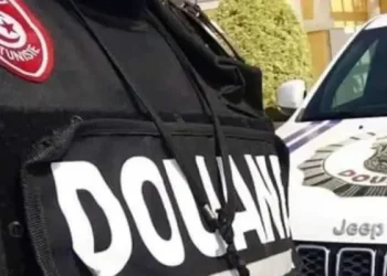 Tunisie : Saisie de marchandises de contrebande d'une valeur de 8,7 MD