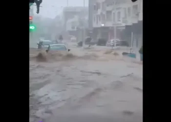 Tunisie : Pluies diluviennes au Cap Bon (vidéos)