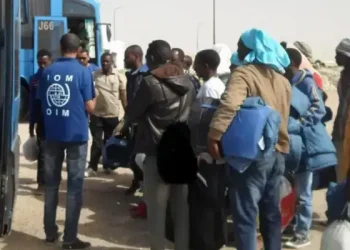 Migration : La Tunisie appelle à un soutien accru pour les rapatriements volontaires