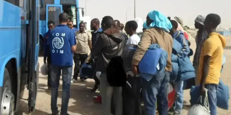 Migration : La Tunisie appelle à un soutien accru pour les rapatriements volontaires