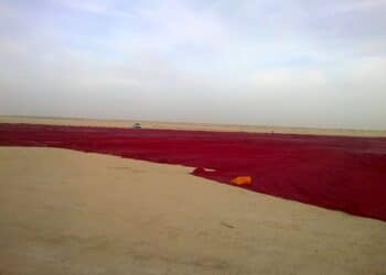 Le drapeau tunisien s'apprête à devenir le plus grand au monde