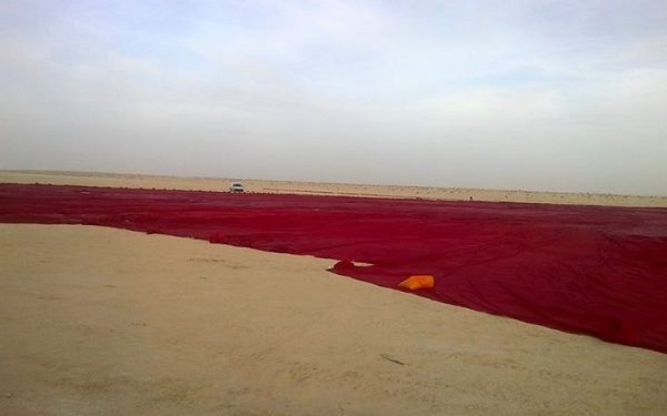 Le drapeau tunisien s'apprête à devenir le plus grand au monde