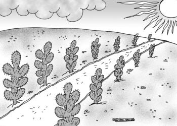 La Tunisie et la "Route de la soie" : ce n&rsquo;est pas du velours !