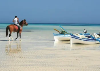 Tourisme : La Tunisie frôle déjà les 4 millions de visiteurs en 2025